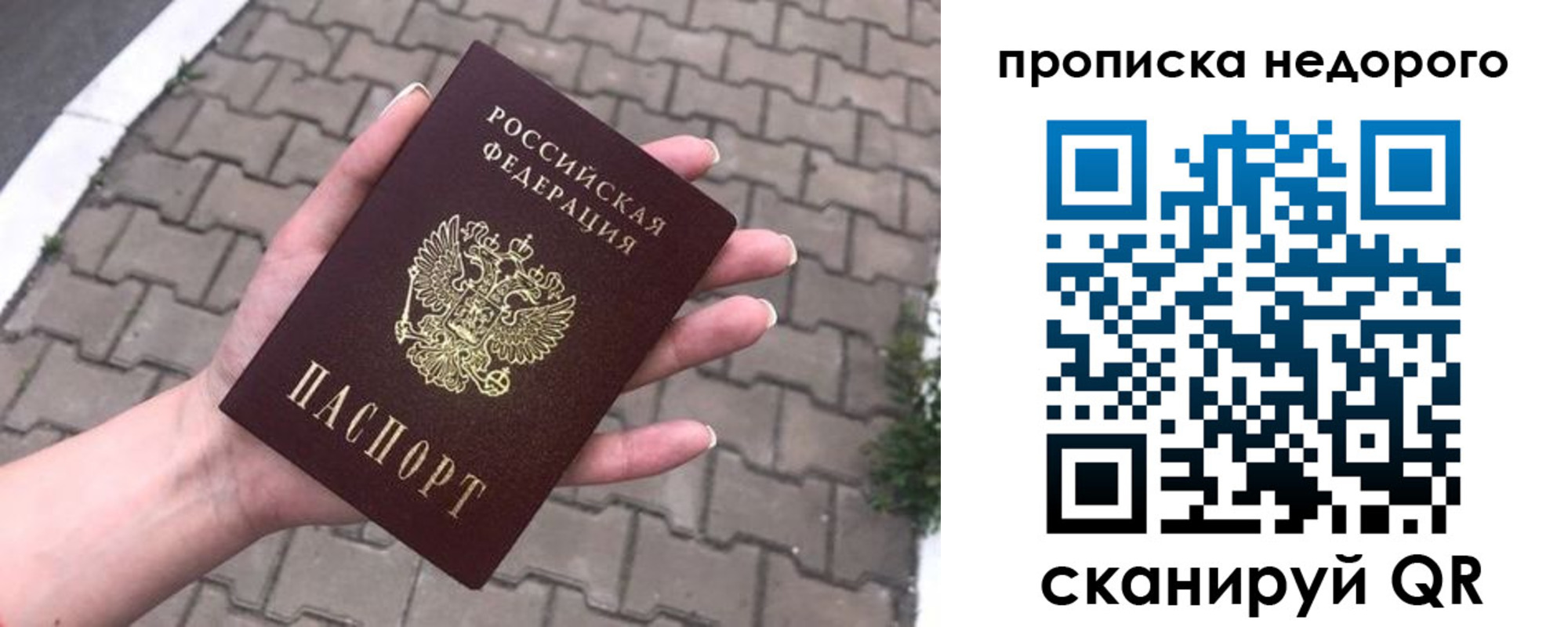 временная прописка в Пионерском
