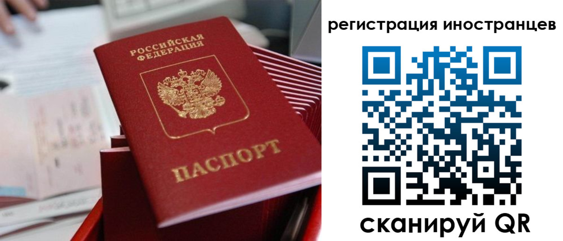 прописка для работы в Пионерском